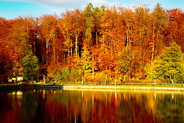 Image showing Pond by the forest