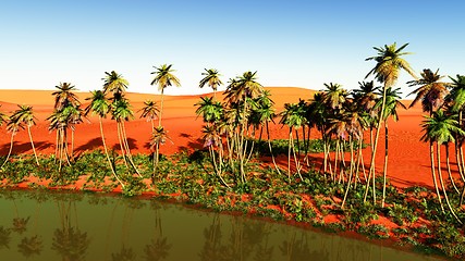 Image showing oasis