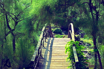 Image showing Traditional japanese bridge