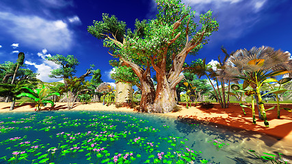 Image showing African baobabs