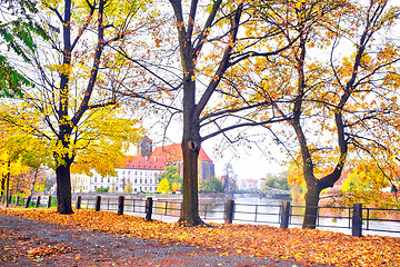 Image showing Autumnal scenery in Wroclaw, Poland