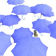 Image showing Umbrella & wellingtons