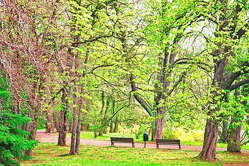 Image showing Spring time in park