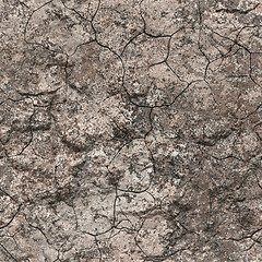 Image showing Crackled soil background