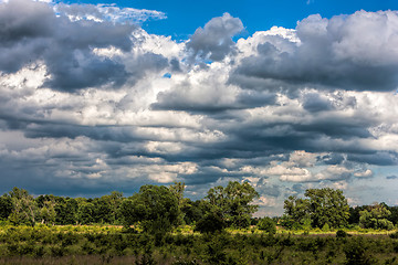 Image showing Typical Polish landscape