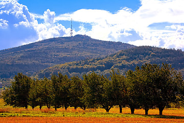 Image showing Typical Polish landscape