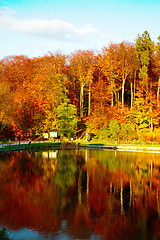 Image showing Pond by the forest