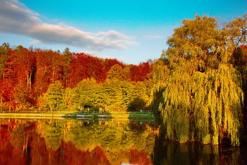 Image showing Pond by the forest