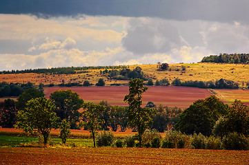 Image showing Typical Polish landscape