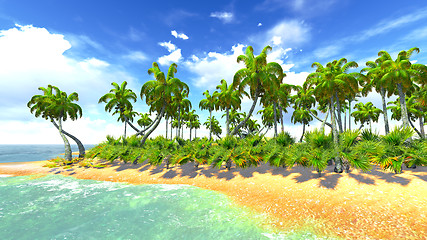 Image showing Hawaiian paradise