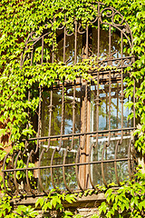 Image showing Barred window