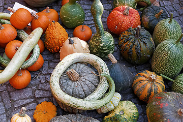 Image showing Pumpkins