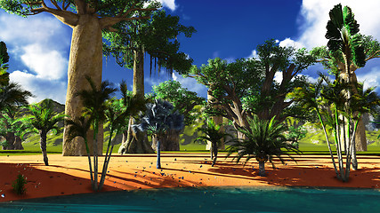 Image showing African baobabs