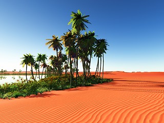 Image showing African oasis