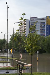 Image showing Flooded city