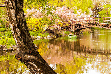 Image showing Japanese garden