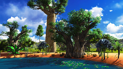 Image showing African baobabs