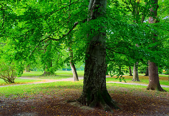 Image showing Park in autumn time