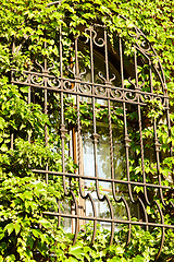 Image showing Barred window