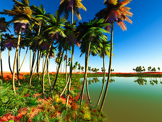 Image showing African oasis