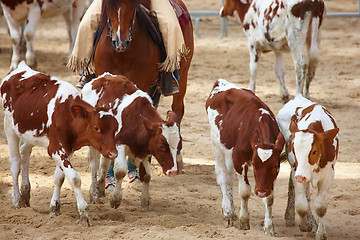 Image showing rodeo competition is about to begin