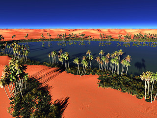 Image showing African oasis