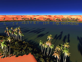 Image showing African oasis