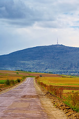Image showing Rural scenery