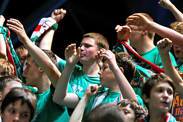 Image showing ecstatic sport fans cheering