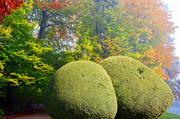 Image showing Autumnal park at sunset