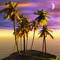 Image showing Tropical paradise