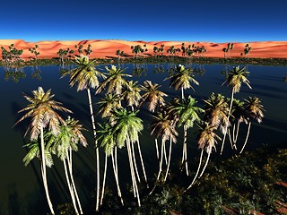 Image showing African oasis