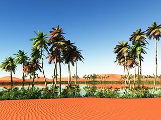 Image showing African oasis