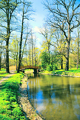 Image showing Japanese garden