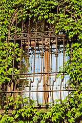 Image showing Barred window