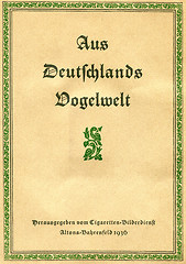 Image showing Aged bookcover