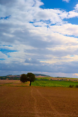 Image showing Typical Polish landscape