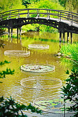 Image showing Traditional japanese bridge