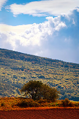 Image showing Typical Polish landscape