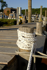 Image showing Nautical Dock Line