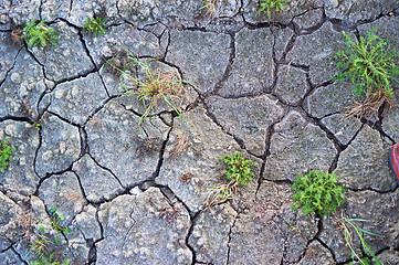 Image showing Crackled soil