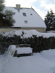 Image showing Snowy Garden