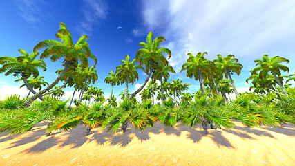 Image showing Hawaiian paradise