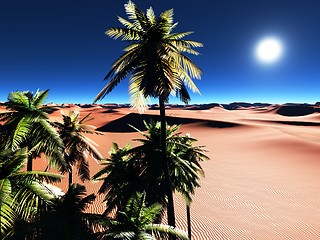 Image showing African oasis