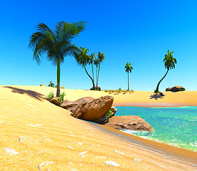 Image showing Hawaiian paradise