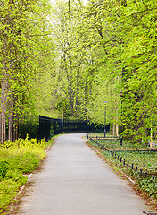 Image showing Park in spring time