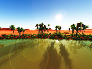 Image showing African oasis