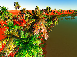 Image showing African oasis