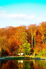 Image showing Pond by the forest