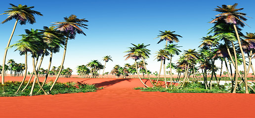 Image showing African oasis